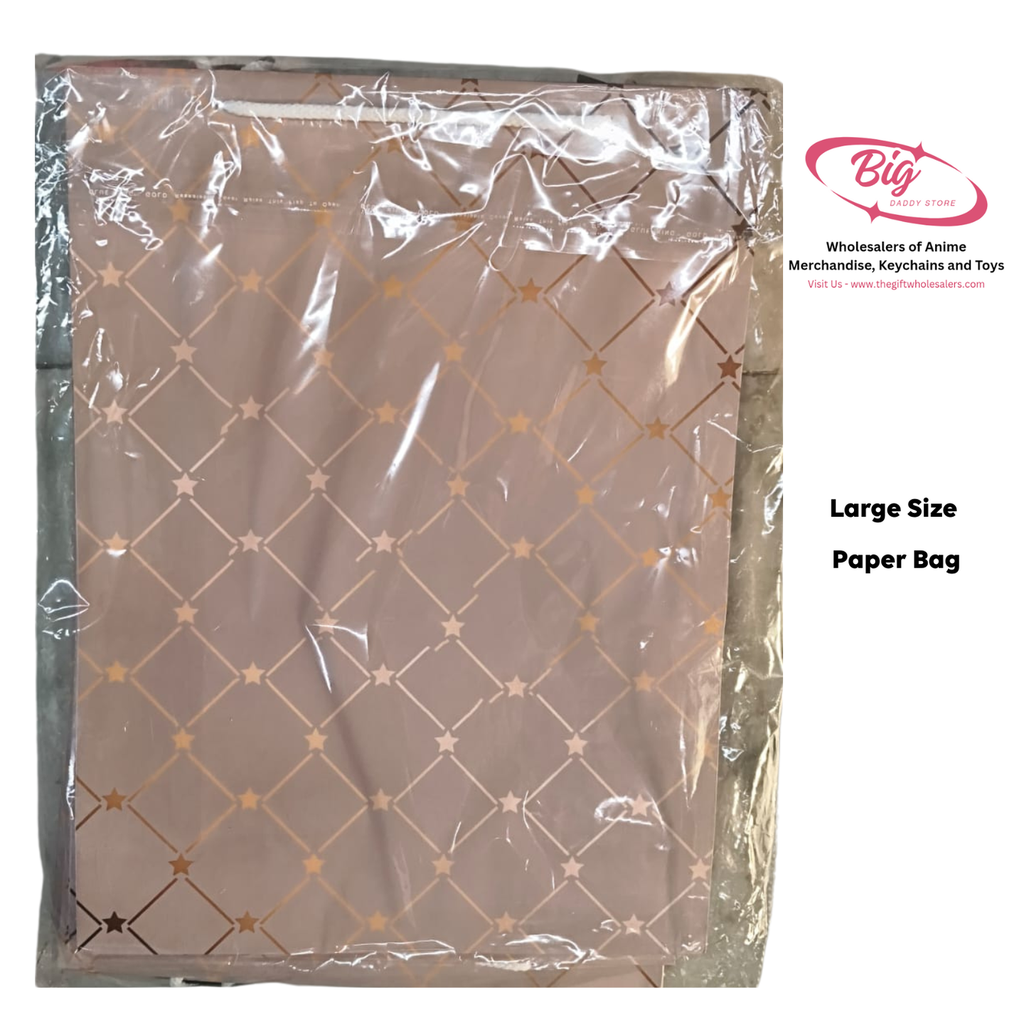 Large size paper gift bags (Pack of 12)