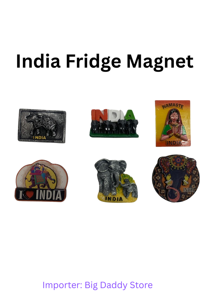 India Place fridge magnet mix design pack of 10 (eff price 38)