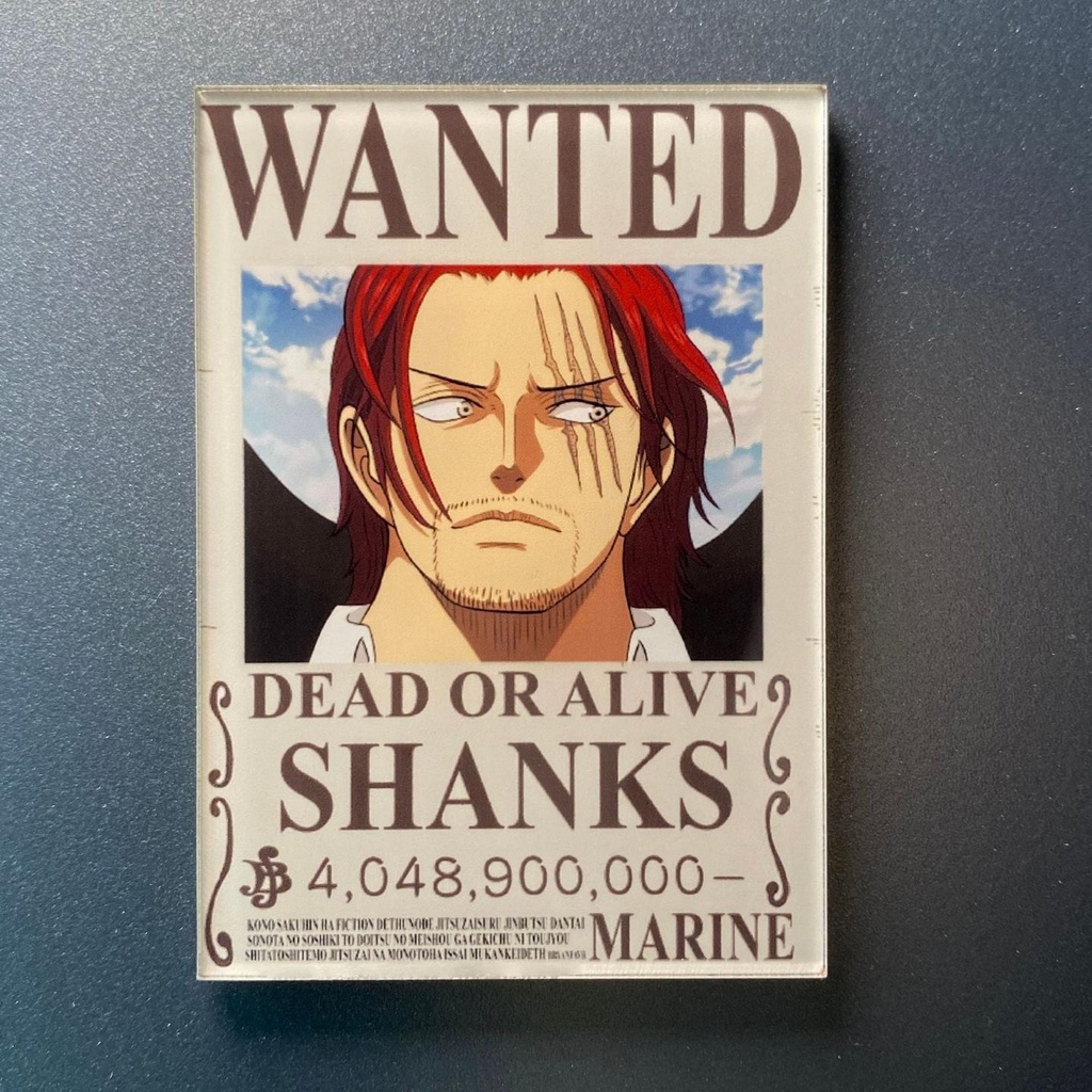 10pcs - One piece mix magnets ( 🎥 video in description)