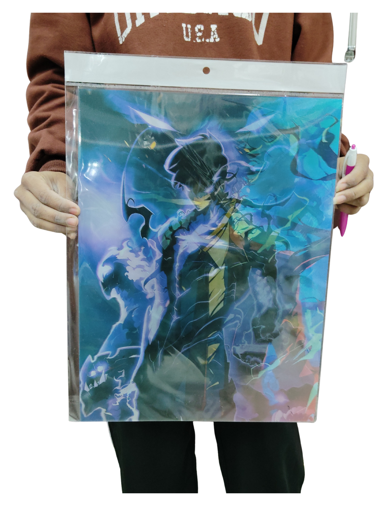 Solo leaving 3d poster pack of 2 ( eff price 90)