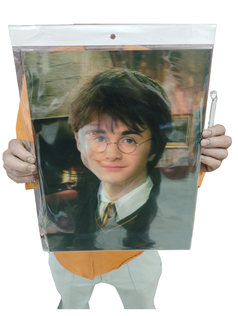 Hp magic boy 3d poster pack of 2 ( eff price 90)