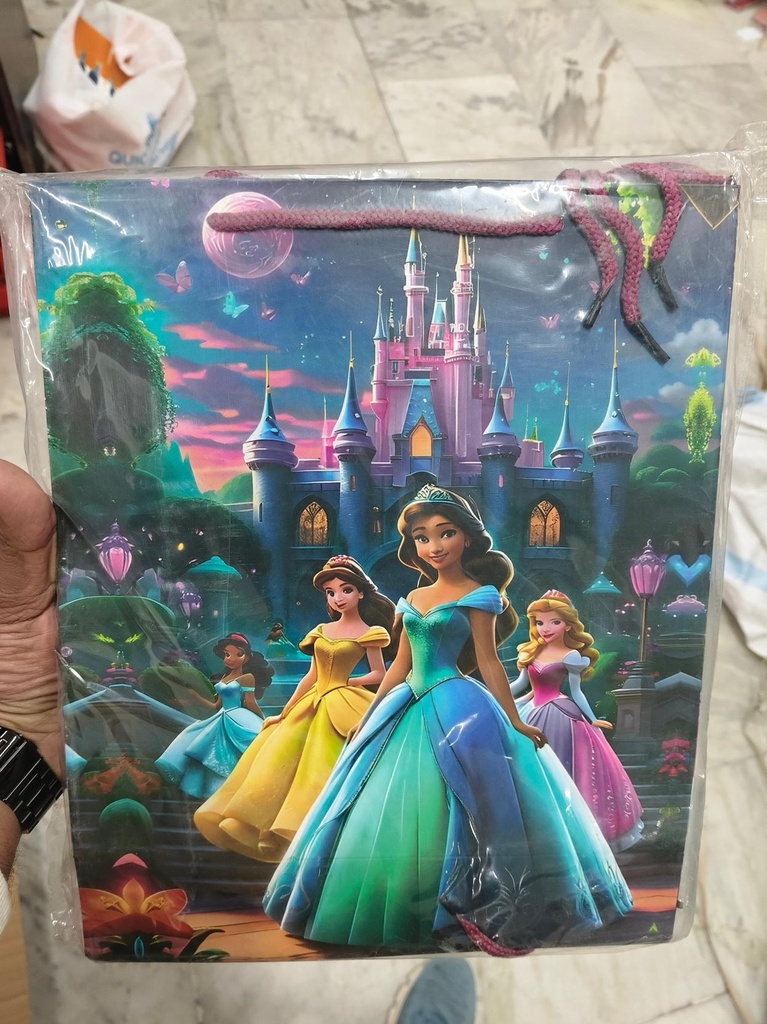 New Dinsy Theme Medium size paper gift bags (Pack of 12)