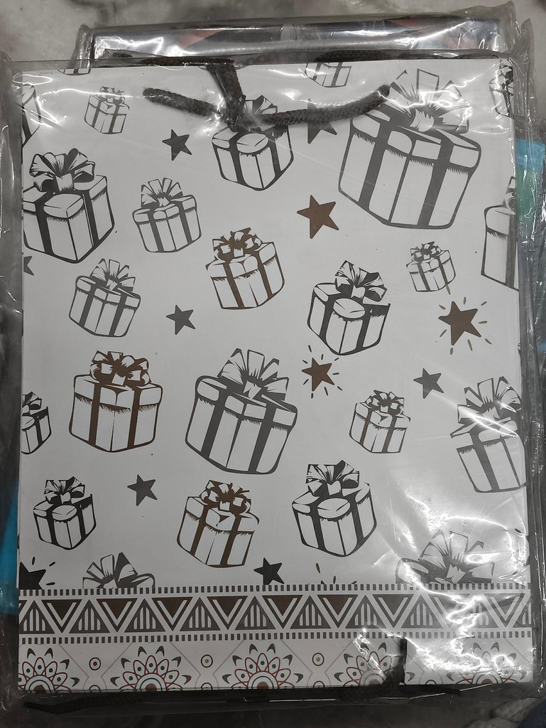 New Gift Design on Medium Paper Bag Pack of 12