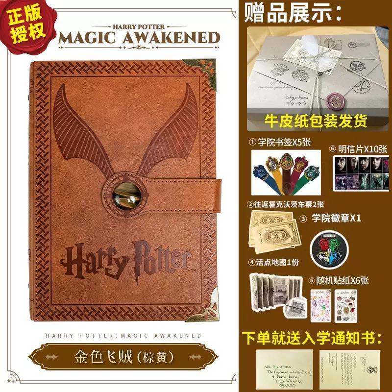 Hp magic boy diary with pen