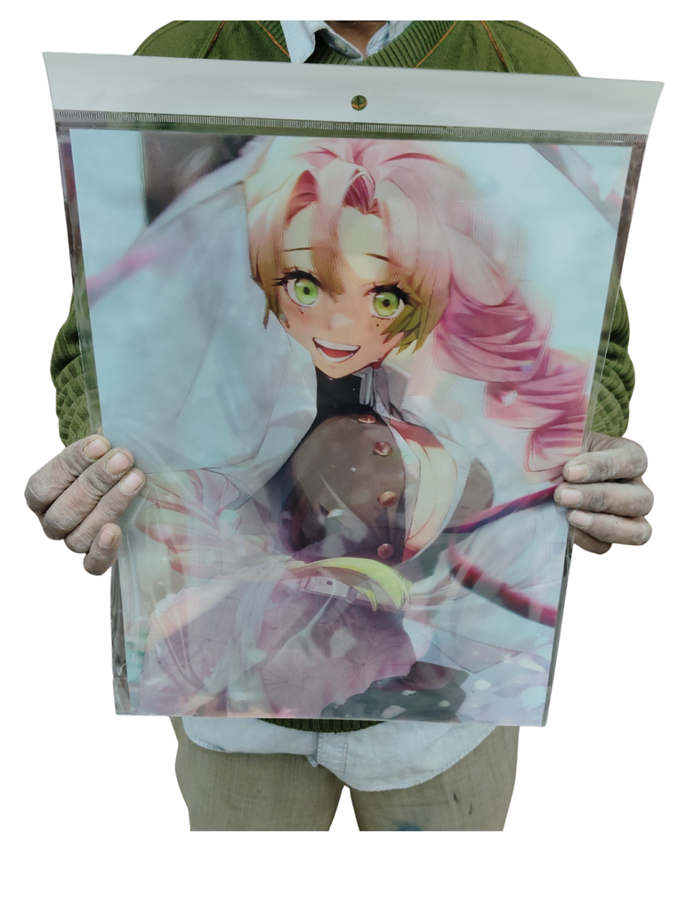 Mitsury 3d poster pack of 2 ( eff price 90)