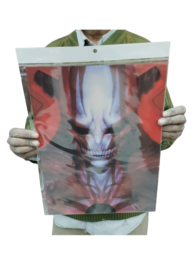 Bleech 3d poster pack of 2 ( eff price 90)
