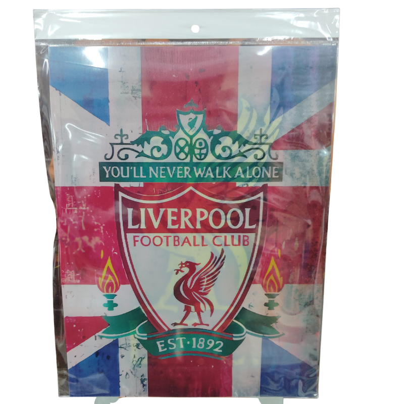 Liverpool 3d poster pack of 2 ( eff price 90)
