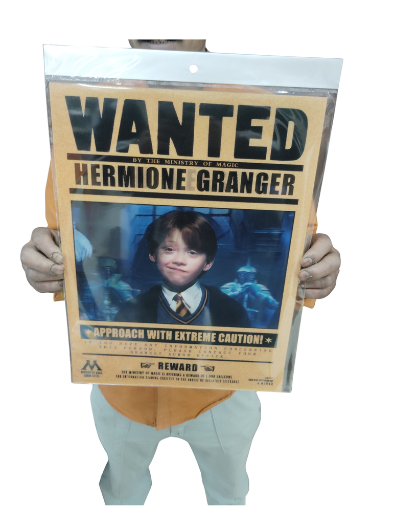 Wanted hermoine 3d poster pack of 2 ( eff price 90)